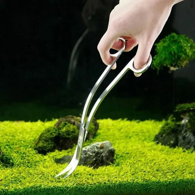Aquarium Scissors,Extra Long S - Aquarium Fish Long ulasan dan harga