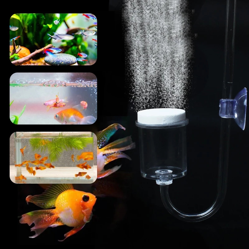 4pcs Set DIY CO2 Diffuser For  - Aquarium Fish Live ulasan dan harga