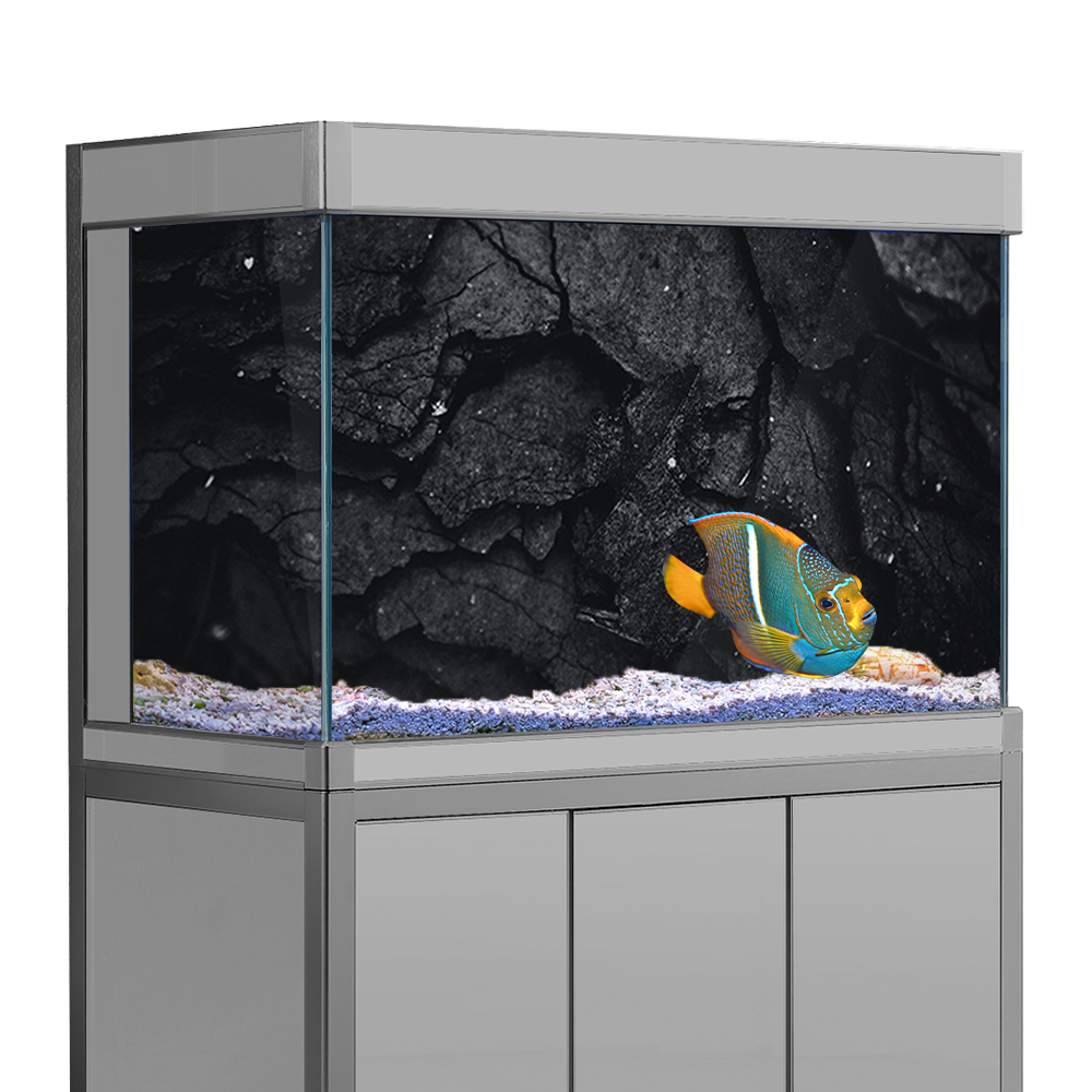Aquarium Background Sticker, R - Aquarium Fish Wallpaper Hd ulasan dan harga