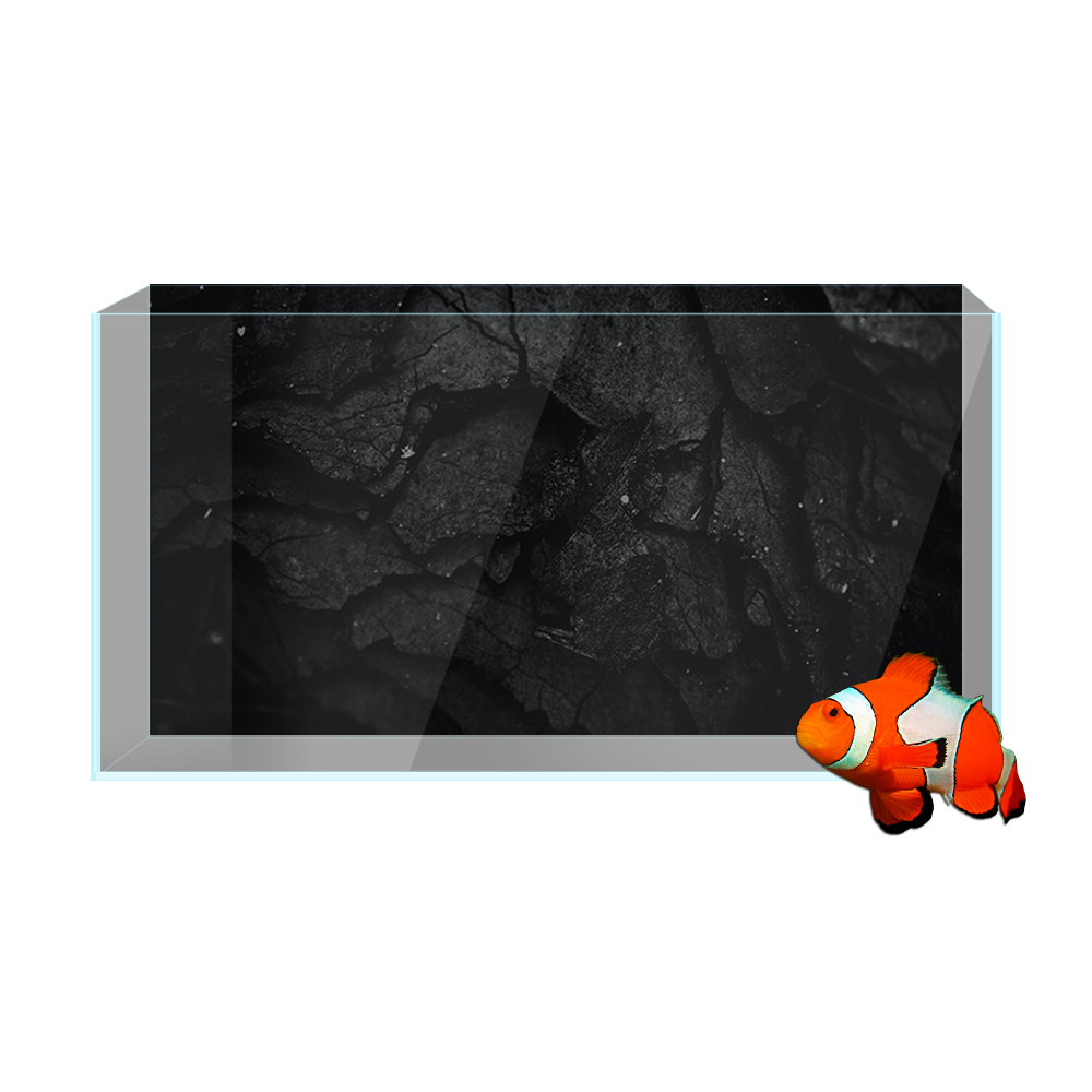 Aquarium Background Sticker, R - Aquarium Fish Wallpaper Hd ulasan dan harga