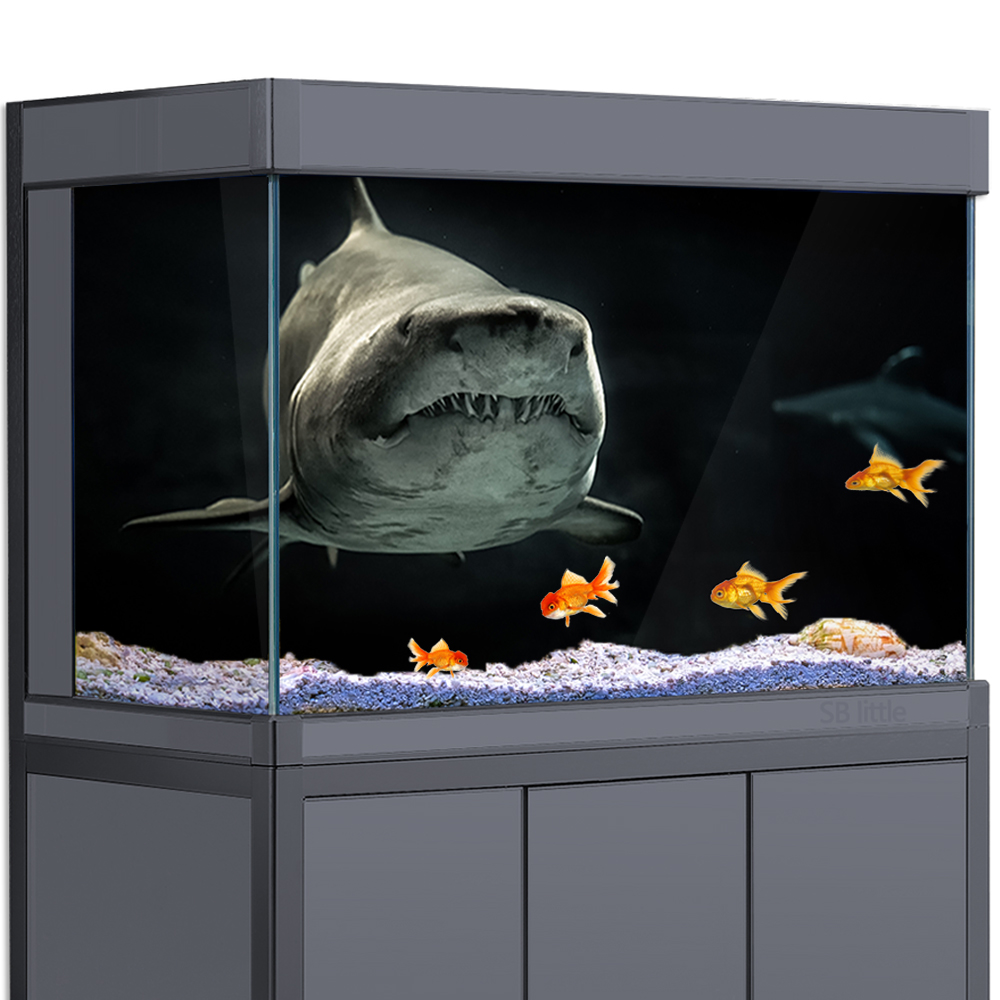 Aquarium Background 3D Shark B - Aquarium Fish Wallpaper Hd ulasan dan harga